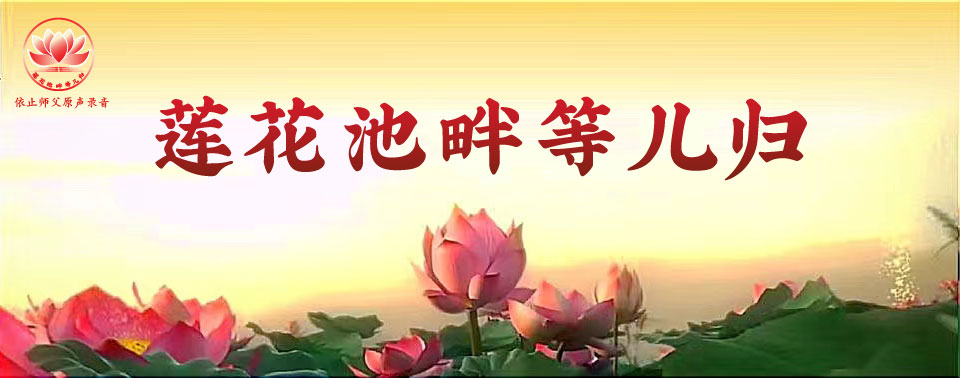 莲花池畔等儿归-黄色8